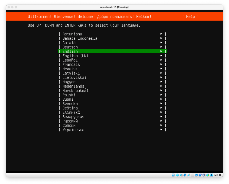 Visual showing When the Ubuntu welcome screen appears, press Enter to continue: