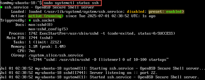 Visual showing sudo systemctl start ssh