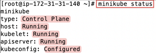 Screenshot illustrating minikube status