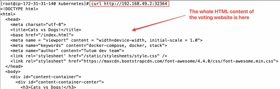Screenshot illustrating curl <the-voting-website-url>