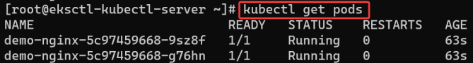 Screenshot illustrating kubectl get pods