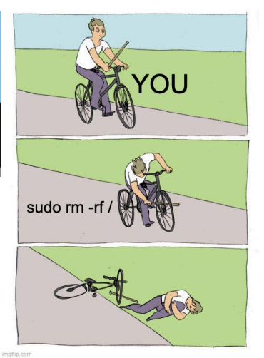 Visual showing Here is the meme for the most destructive command in the history of computers: