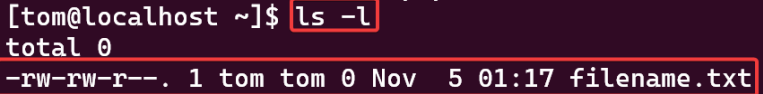 Visual showing You should see filename.txt in the list, along with its default permissions.