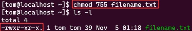 Visual showing chmod 755 filename.txt