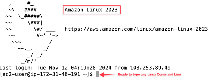 Screenshot illustrating After that, you should SSH successfully to the remote EC2 Server like below: