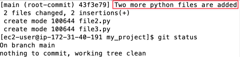 Screenshot illustrating Question : Do you see your commit and its message?