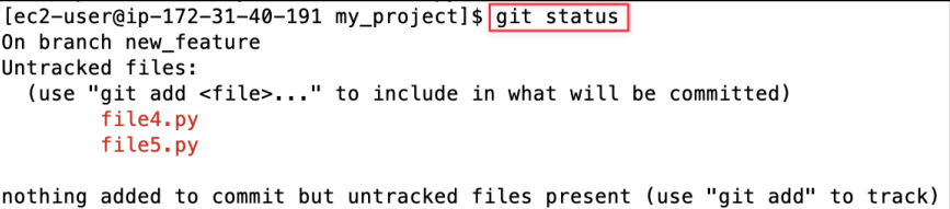 Screenshot illustrating git status