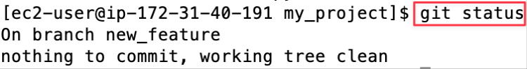 Screenshot illustrating git status