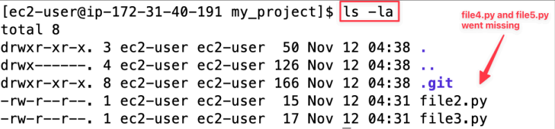Screenshot illustrating new_feature branch? Is there any file missing? Why is that?