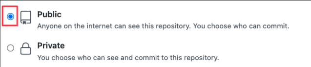 Screenshot illustrating Choose public visibility (Anyone can see, and checkout your GitHub repository).