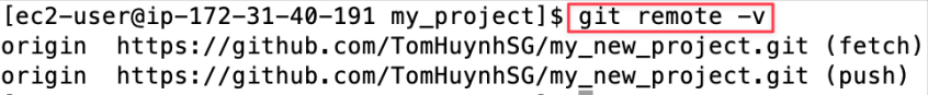 Screenshot illustrating git remote -v
