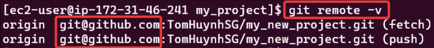 Screenshot illustrating git remote -v