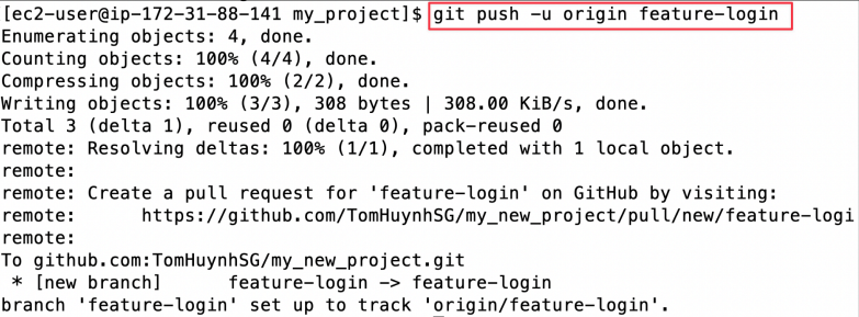 Screenshot illustrating git push -u origin feature-login