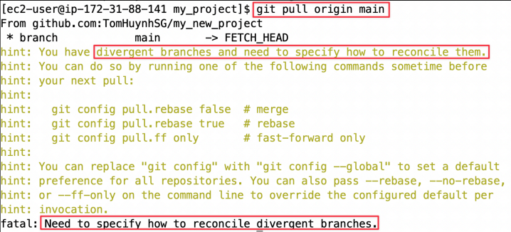Screenshot illustrating git pull origin main