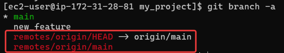 Screenshot illustrating You should see your local main branch and a remote-tracking branch similar to “ remotes/origin/main ”: