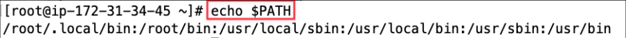 Screenshot illustrating echo $PATH