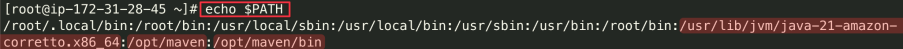 Screenshot illustrating echo $PATH