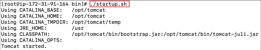 Screenshot illustrating ./startup.sh