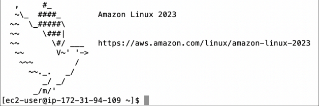 Screenshot illustrating After that, let’s SSH to the Jenkins Server on EC2: