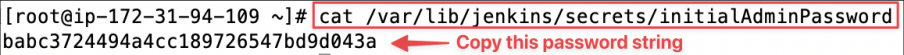 Screenshot illustrating In my case, the default admin password is: