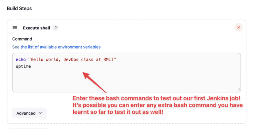 Screenshot illustrating You can type the bash linux commands in the command shell like so: