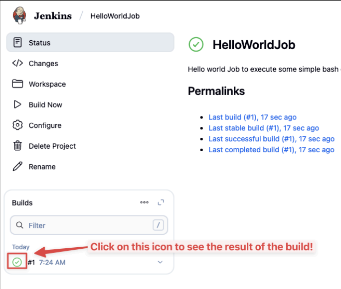Screenshot illustrating Check the result of your Jenkins build: