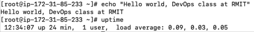 Screenshot illustrating manually in the terminal! You can try to type the same bash commands to test it out: