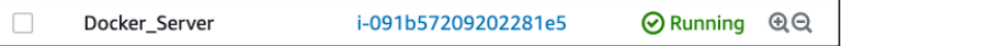 Screenshot illustrating Set up the EC2 instance for the “Docker" Server like so: