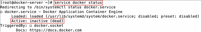 Screenshot illustrating service docker status