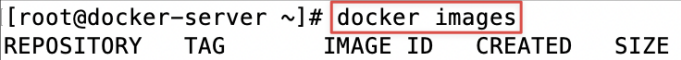 Screenshot illustrating docker images