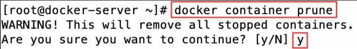 Screenshot illustrating docker container prune