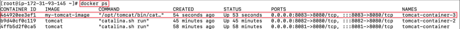Screenshot illustrating docker ps