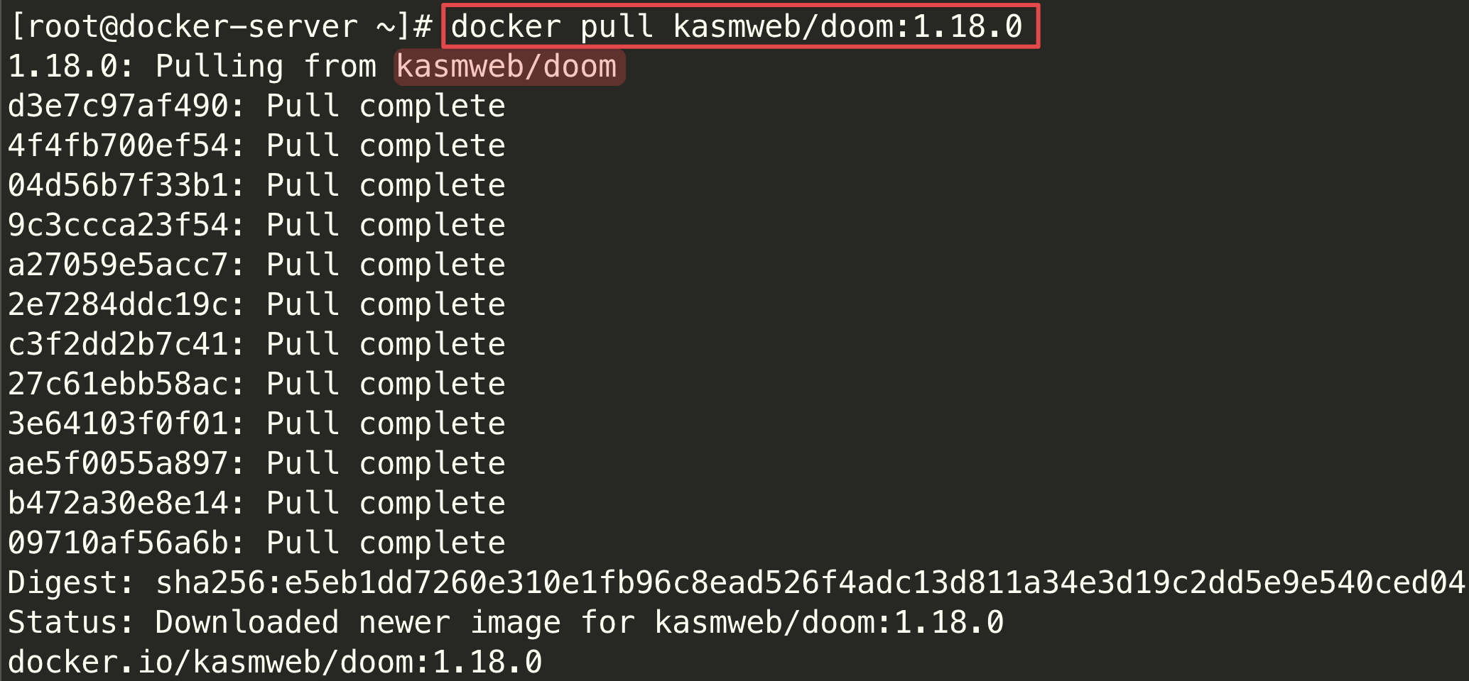 Screenshot illustrating docker pull kasmweb/doom:1.18.0 downloading the image layers
