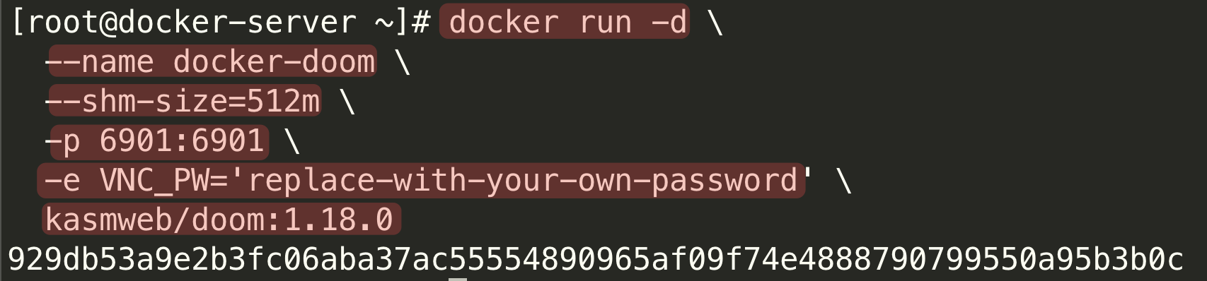 Screenshot illustrating the docker run command starting the docker-doom container and printing its container ID