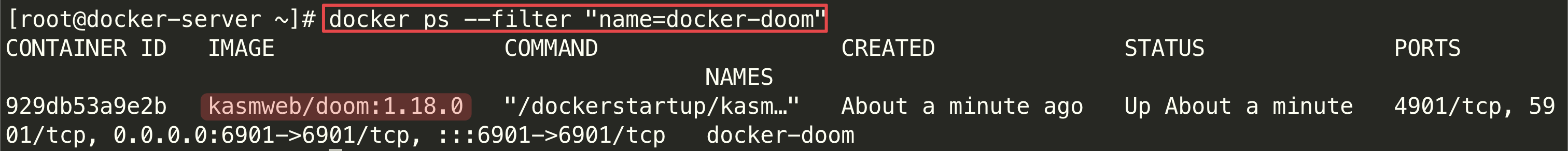 Screenshot illustrating docker ps confirming the docker-doom container is up and publishing port 6901