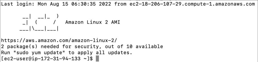 Screenshot illustrating After that, let’s SSH to the Ansible Server on EC2: