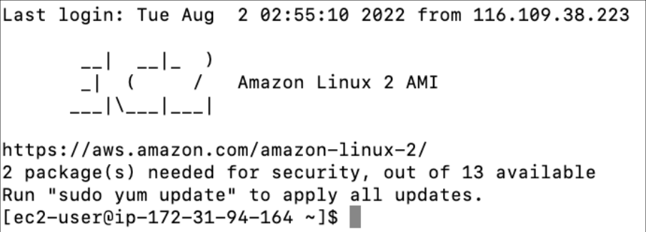 Screenshot illustrating Let's SSH into the Docker Server: