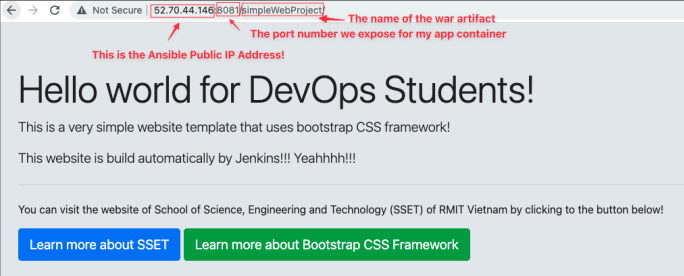 Screenshot illustrating docker run -d --name myapp-container -p 8081:8080 myapp:v1