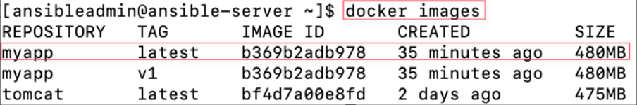 Screenshot illustrating docker images