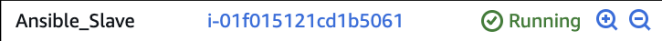 Screenshot illustrating Wait until the instance is ready: