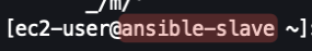 Screenshot illustrating ssh to the Ansible slave to run these commands: