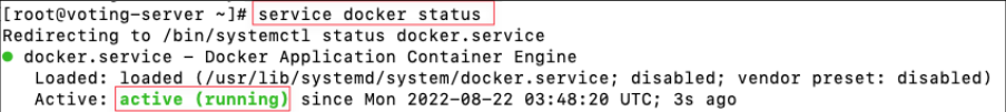 Screenshot illustrating service docker status