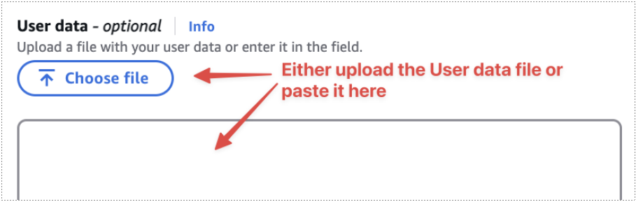 Screenshot illustrating Upload or paste in the User data: