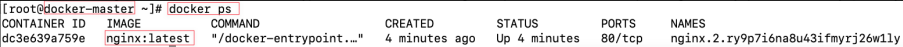 Screenshot illustrating docker ps